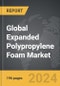 Expanded Polypropylene (EPP) Foam - Global Strategic Business Report - Product Thumbnail Image