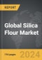 Silica Flour - Global Strategic Business Report - Product Thumbnail Image