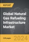 Natural Gas Refueling Infrastructure: Global Strategic Business Report - Product Image