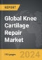 Knee Cartilage Repair - Global Strategic Business Report - Product Thumbnail Image