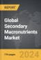 Secondary Macronutrients - Global Strategic Business Report - Product Thumbnail Image