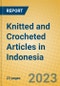 Knitted and Crocheted Articles in Indonesia: ISIC 173 - Product Image