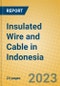 Insulated Wire and Cable in Indonesia: ISIC 313 - Product Image
