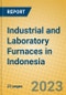 Industrial and Laboratory Furnaces in Indonesia: ISIC 2914 - Product Image