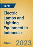 Electric Lamps and Lighting Equipment in Indonesia: ISIC 315- Product Image