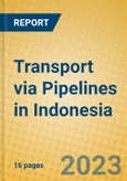 Transport via Pipelines in Indonesia: ISIC 603- Product Image