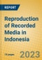 Reproduction of Recorded Media in Indonesia: ISIC 223 - Product Image