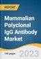 Mammalian Polyclonal IgG Antibody Market Size, Share & Trends Analysis Report By Type (Mouse, Rabbit), By Product (Cardiac, Metabolic), By Application (Western Blotting, ELISA), By End-user, And Segment Forecasts, 2023 - 2030 - Product Thumbnail Image