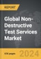 Non-Destructive Test (NDT) Services - Global Strategic Business Report - Product Thumbnail Image