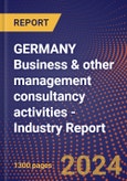 GERMANY Business & other management consultancy activities - Industry Report- Product Image
