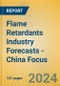 Flame Retardants Industry Forecasts - China Focus - Product Image