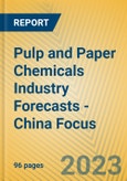 Pulp and Paper Chemicals Industry Forecasts - China Focus- Product Image