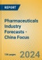 Pharmaceuticals Industry Forecasts - China Focus - Product Image