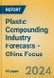 Plastic Compounding Industry Forecasts - China Focus - Product Thumbnail Image