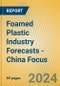 Foamed Plastic Industry Forecasts - China Focus - Product Thumbnail Image
