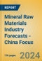 Mineral Raw Materials Industry Forecasts - China Focus - Product Image