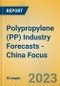 Polypropylene (PP) Industry Forecasts - China Focus - Product Image