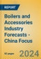 Boilers and Accessories Industry Forecasts - China Focus - Product Image