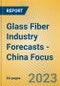 Glass Fiber Industry Forecasts - China Focus - Product Image