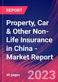 Property, Car & Other Non-Life Insurance in China - Industry Market Research Report- Product Image