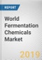 World Fermentation Chemicals Market - Opportunities and Forecasts, 2017 - 2023 - Product Thumbnail Image
