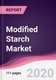 Modified Starch Market - Forecast (2020 - 2025)- Product Image