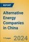 Alternative Energy Companies in China - Product Image