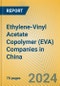 Ethylene-Vinyl Acetate Copolymer (EVA) Companies in China - Product Image