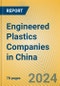 Engineered Plastics Companies in China - Product Image