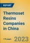 Thermoset Resins Companies in China - Product Image