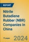 Nitrile Butadiene Rubber (NBR) Companies in China - Product Image