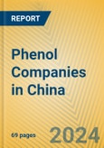 Phenol Companies in China- Product Image