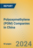 Polyoxymethylene (POM) Companies in China- Product Image