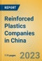 Reinforced Plastics Companies in China - Product Image