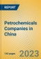 Petrochemicals Companies in China - Product Image