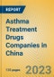 Asthma Treatment Drugs Companies in China - Product Image