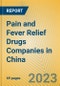 Pain and Fever Relief Drugs Companies in China - Product Image