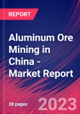 Aluminum Ore Mining in China - Industry Market Research Report- Product Image