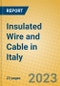 Insulated Wire and Cable in Italy - Product Image