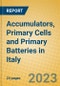 Accumulators, Primary Cells and Primary Batteries in Italy - Product Image