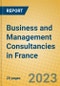 Business and Management Consultancies in France - Product Image