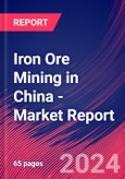Iron Ore Mining in China - Industry Market Research Report- Product Image