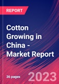 Cotton Growing in China - Industry Market Research Report- Product Image