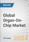 Global Organ-On-Chip Market by Organ Type (Liver, Kidney, Intestine, Lung, Heart), Products (Instruments, Consumable, Software), Services (Standard, Custom), Model Type, Application (Toxicology, Drug Discovery, Stem Cell), Purpose - Forecast to 2029 - Product Thumbnail Image