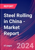 Steel Rolling in China - Industry Market Research Report- Product Image