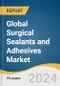 Global Surgical Sealants and Adhesives Market Size, Share & Trends Analysis Report by Type (Natural or Biological, Synthetic and Semi Synthetic), Application (Central Nervous System, General Surgery), Indication, Region, and Segment Forecasts, 2024-2030 - Product Image