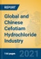 Global and Chinese Cefotiam Hydrochloride Industry, 2021 Market Research Report - Product Thumbnail Image
