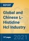 Global and Chinese L-Histidine Hcl Industry, 2021 Market Research Report - Product Thumbnail Image