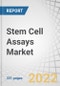 Stem Cell Assays Market by Type (Viability, Proliferation, Differentiation, Apoptosis), Cell Type (Mesenchymal, iPSCs, HSCs, hESCs), Product & Service (Instrument), Application (Regenerative Medicine, Clinical Research), End User - Global Forecast to 2027 - Product Thumbnail Image