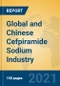Global and Chinese Cefpiramide Sodium Industry, 2021 Market Research Report - Product Thumbnail Image